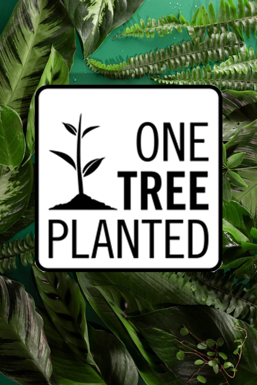 Tree to be Planted - Minimal Ethic Tattoo Supply